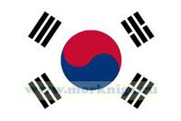 Флаг Южной Кореи (30 х 45)