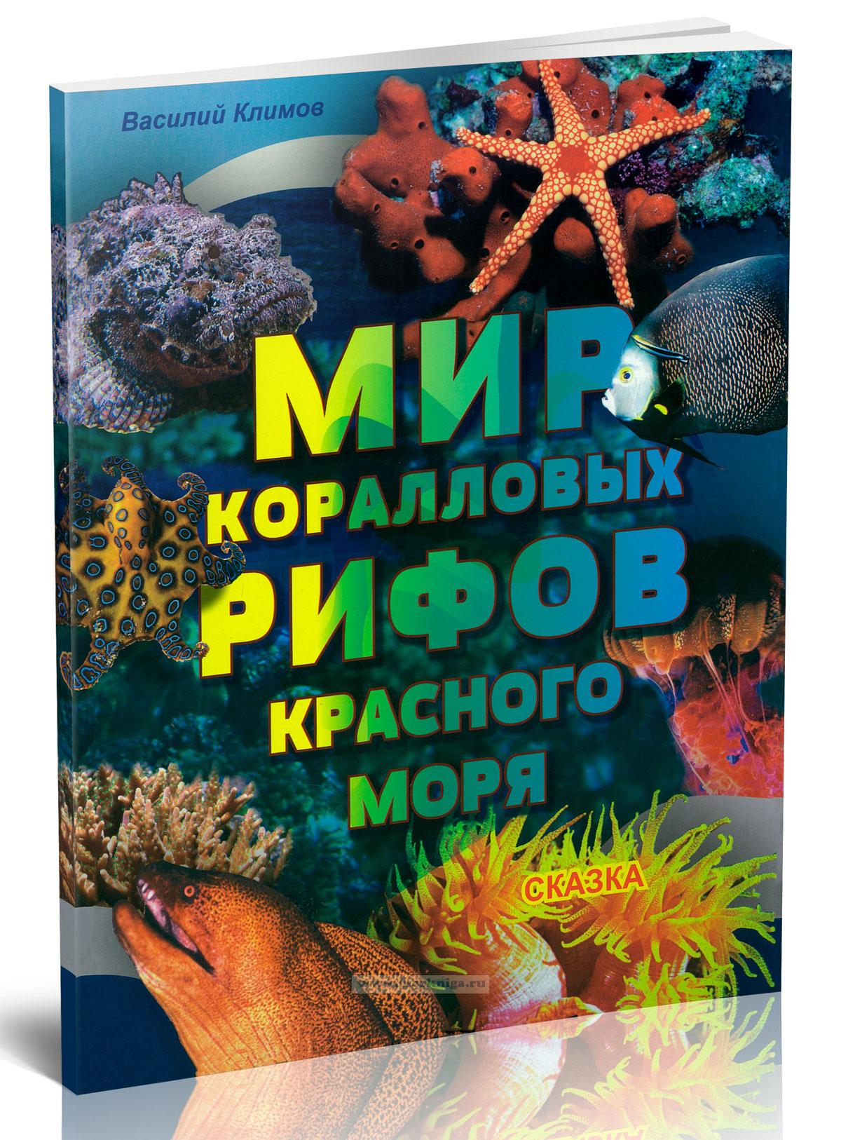 Мир коралловых рифов Красного моря