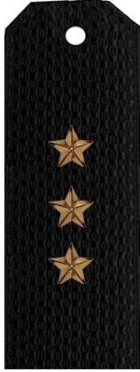Погоны старшего мичмана вмф (черные)