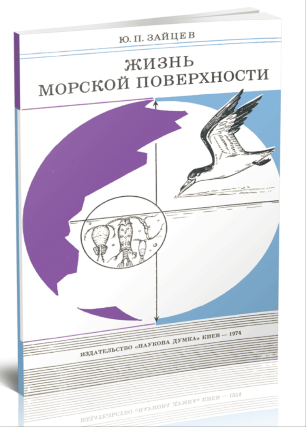 Жизнь морской поверхности