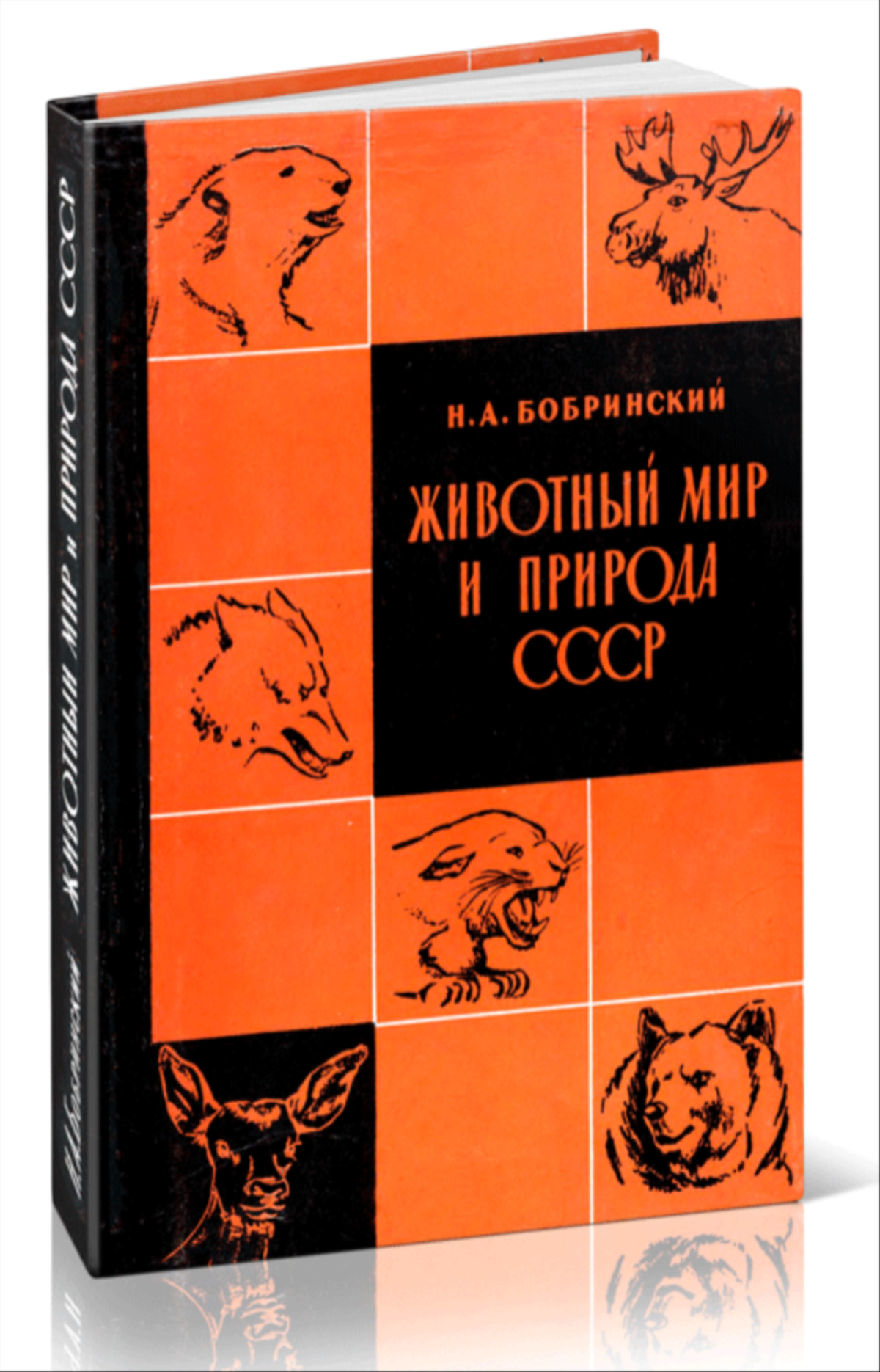 Животный мир и природа СССР