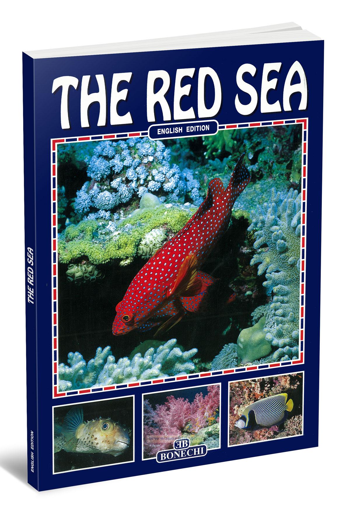 The Red Sea/Красное море