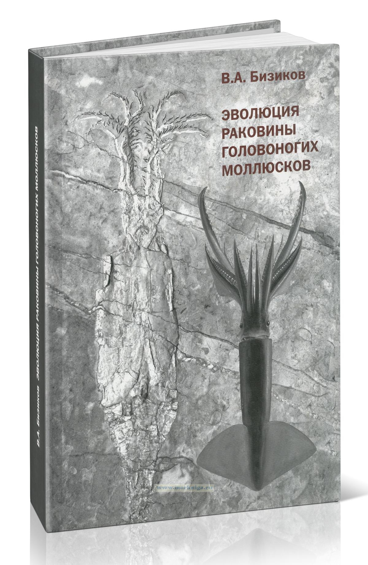 Эволюция раковины головоногих моллюсков