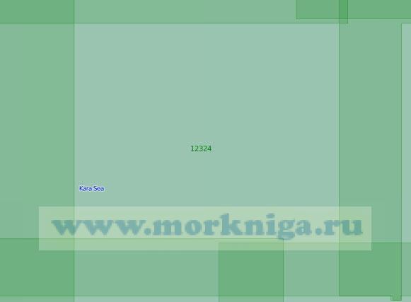12324 Район к северо-западу от острова Пологий-Сергеева (Масштаб 1:200 000)