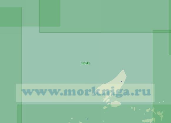 12341 Северная часть архипелага Норденшельда и остров Кирова (Масштаб 1:200 000)