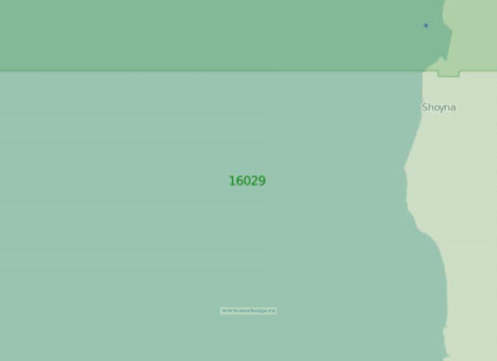 16029 Подходы к реке Шойна с юга (Масштаб 1:25 000)