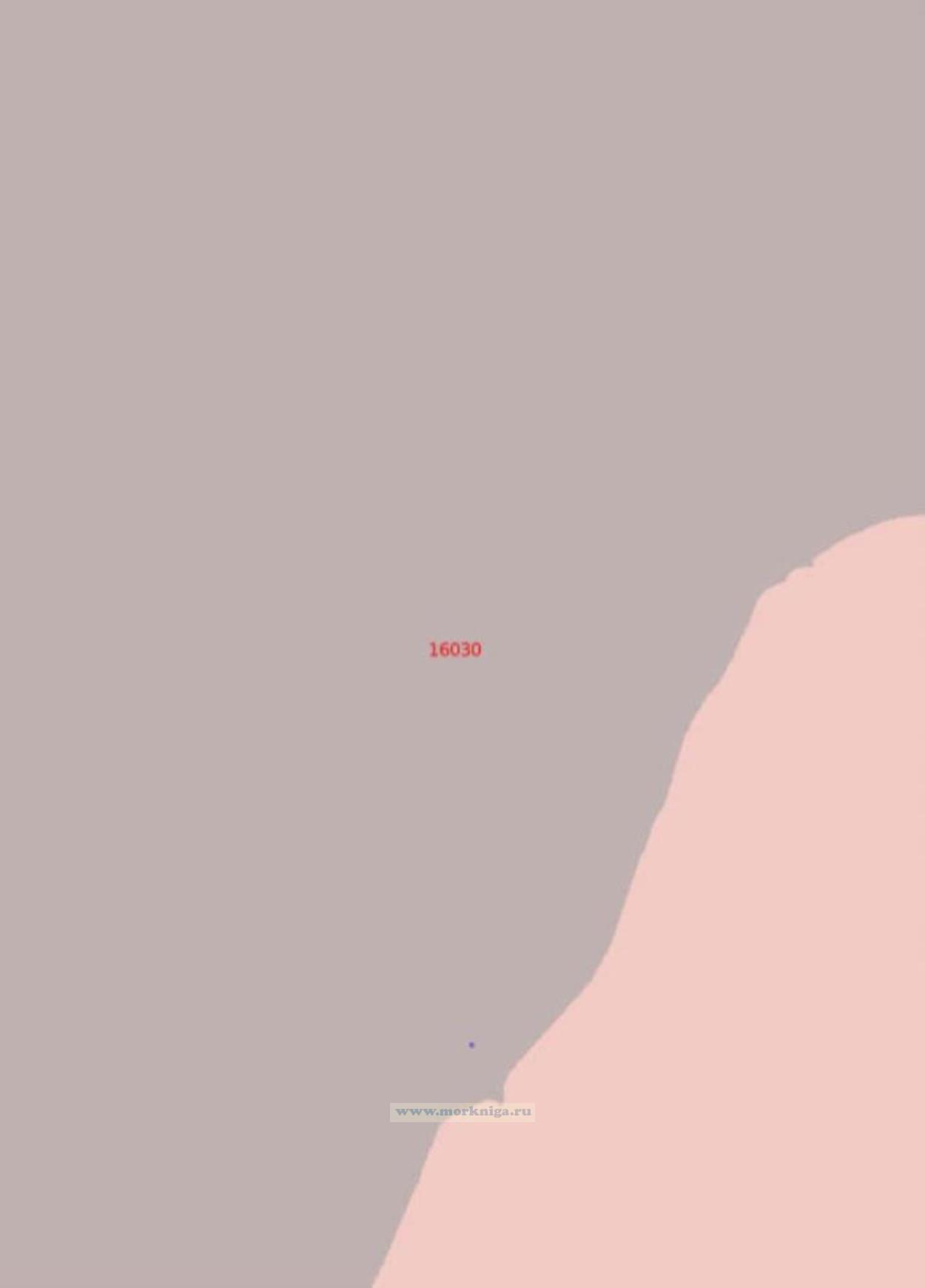 16030 Кедовские кошки (Масштаб 1:50 000)