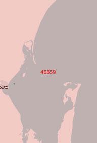 49659 Порт Мапуту (Масштаб 1:25 000)