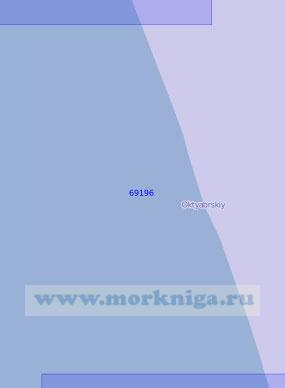 69196 Устьевой участок реки Большая (Масштаб 1:10 000)