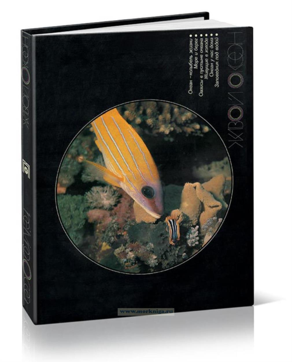 Фотоальбом 