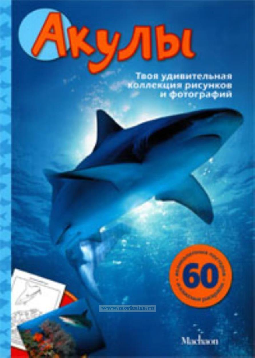 Акулы. Твоя удивительная коллекция рисунков и фотографий