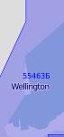 55463 Порт Веллингтон с подходами (Масштаб 1:40 000)