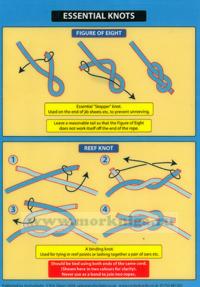 Essential Knots (Простые морские узлы)