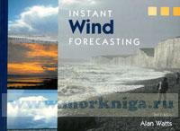 Instant Wind Forcasting