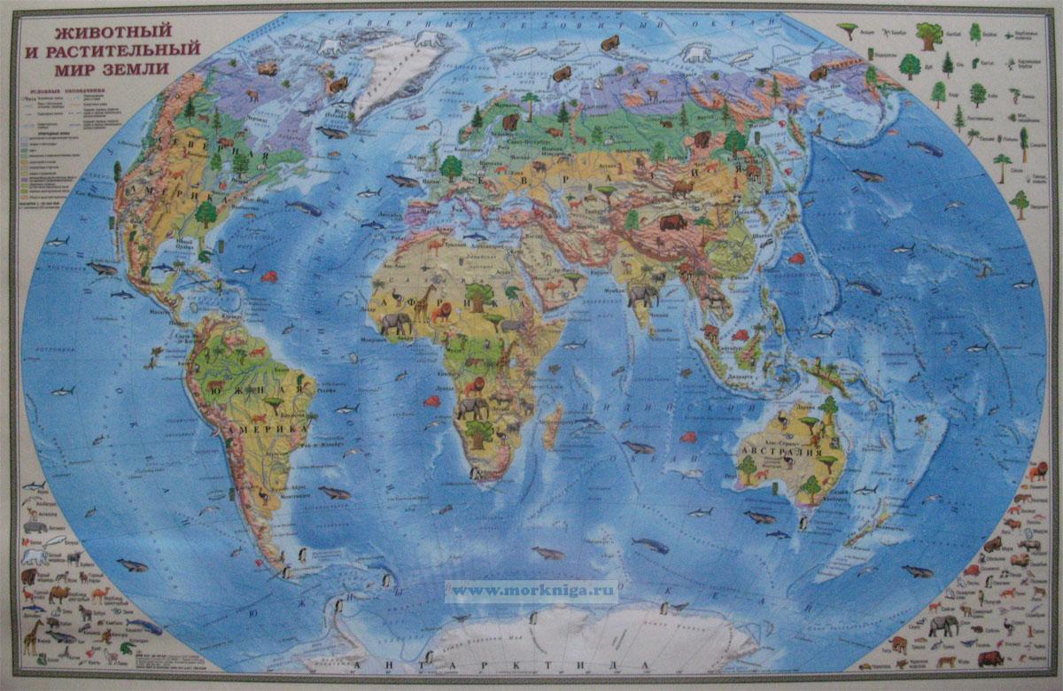 Мир география использования