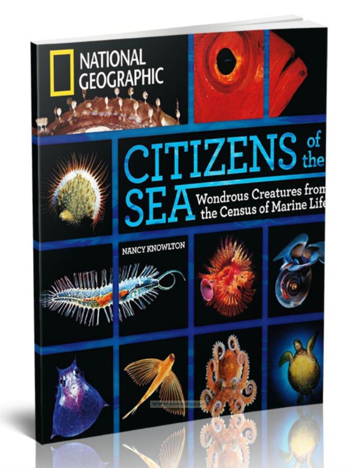 Citizens of the Sea/Обитатели моря