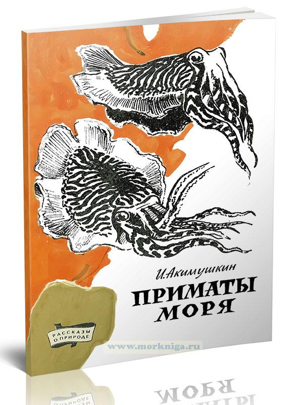 обезьяна на берегу. головоногие моллюски аргонавт. приматы моря. головоногие приматы моря. дальневосточный гигантский осьминог.