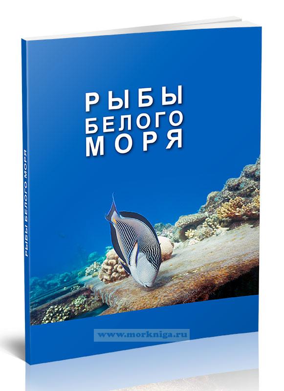 Рыбы Белого моря