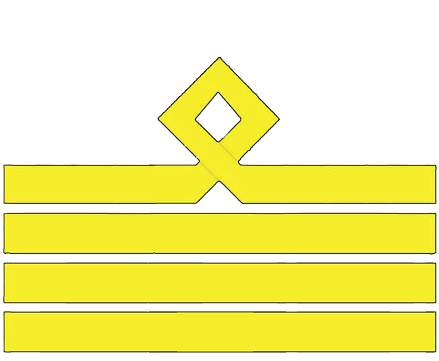 9 должностная категория