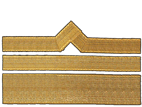 12 должностная категория