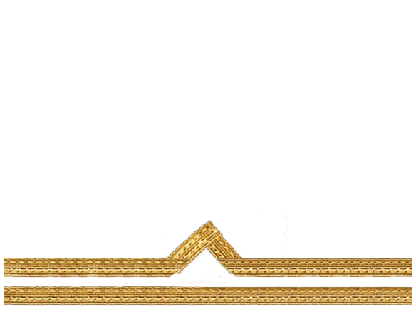 2 должностная категория